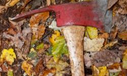 An axe sitting in a pile of fall leaves