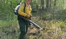 Screen Shot 2022 03 08 At 3 51 30 Pm