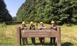 52184612205 8A79C9F31C W