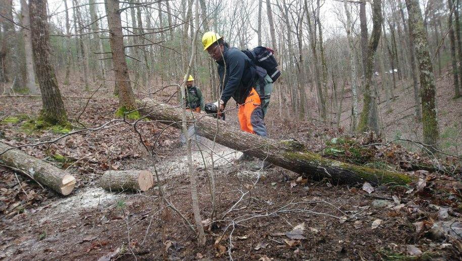 Veteran-Fire-Crew-946-member-J-Chanel-Bradley-sawing-a-downed-tree-with-a-chainsaw.jpeg#asset:461